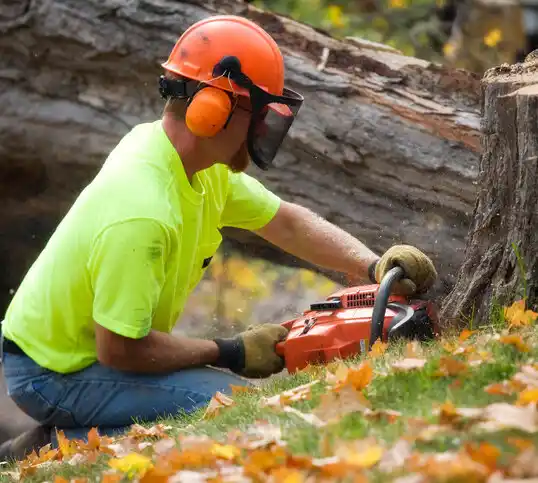 tree services Leonia